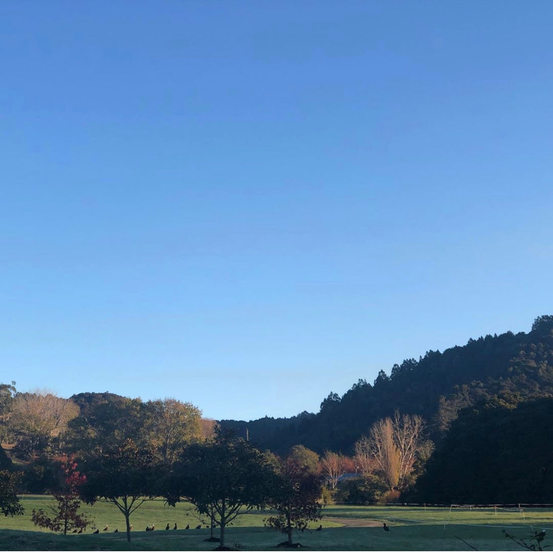 What is Covid-19 really teaching us?