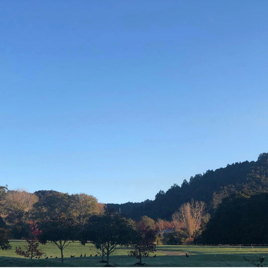 What is Covid-19 really teaching us?