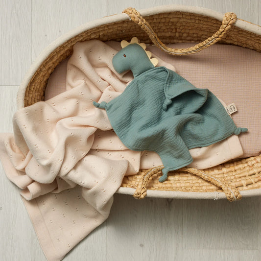 Dinosaur Lovey - Organic Muslin