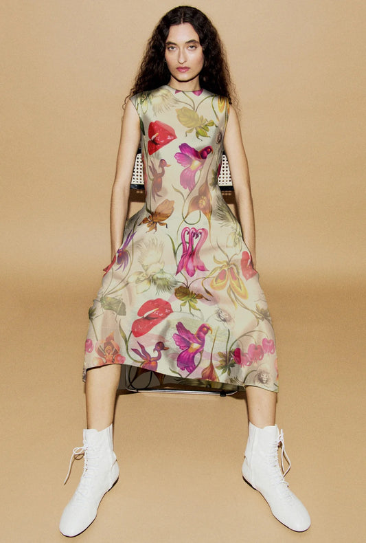 Cotton Silk Colour Me Dress Wonderland