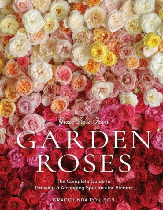Garden Roses - Grace Rose Farm