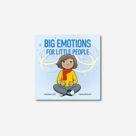 Big Emotions For Little People Book