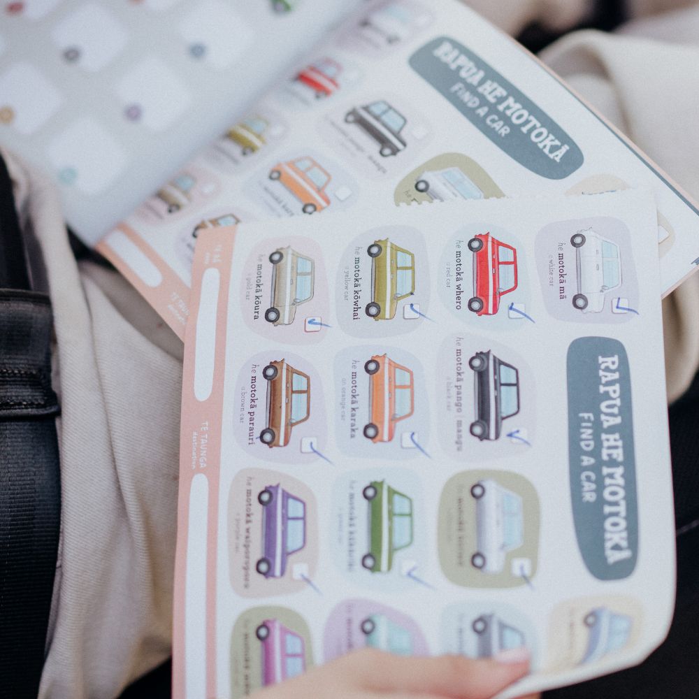 I Spy Kiwi Road Trip Book