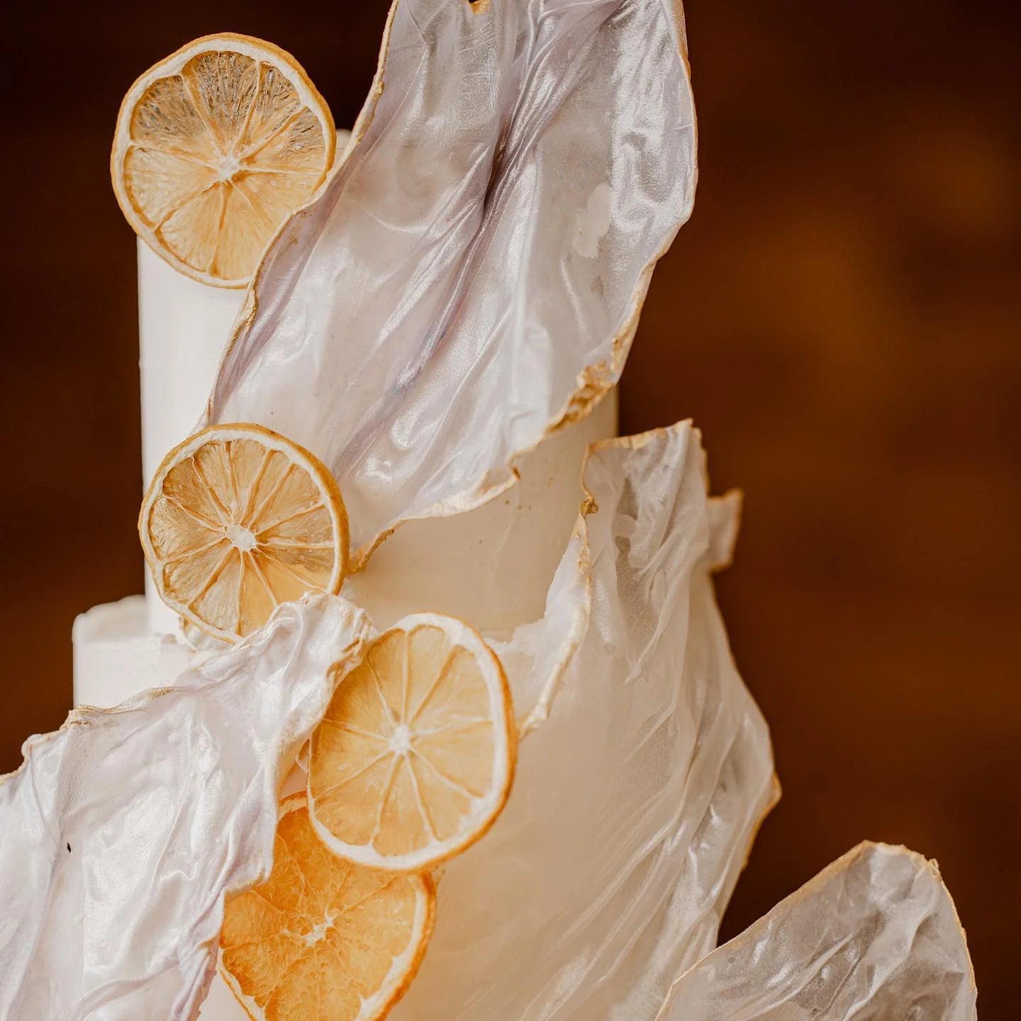 Dried Lemon Slices - 10 Slice Pouch