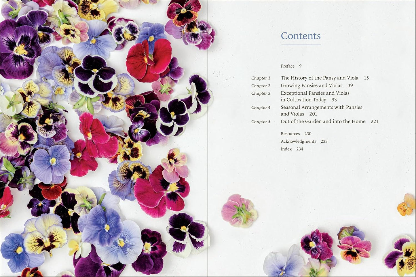 Pansies - How To Grow