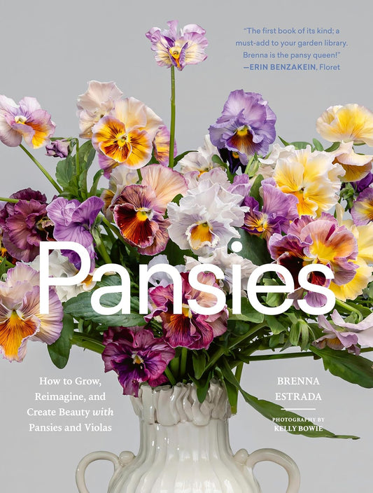Pansies - How To Grow