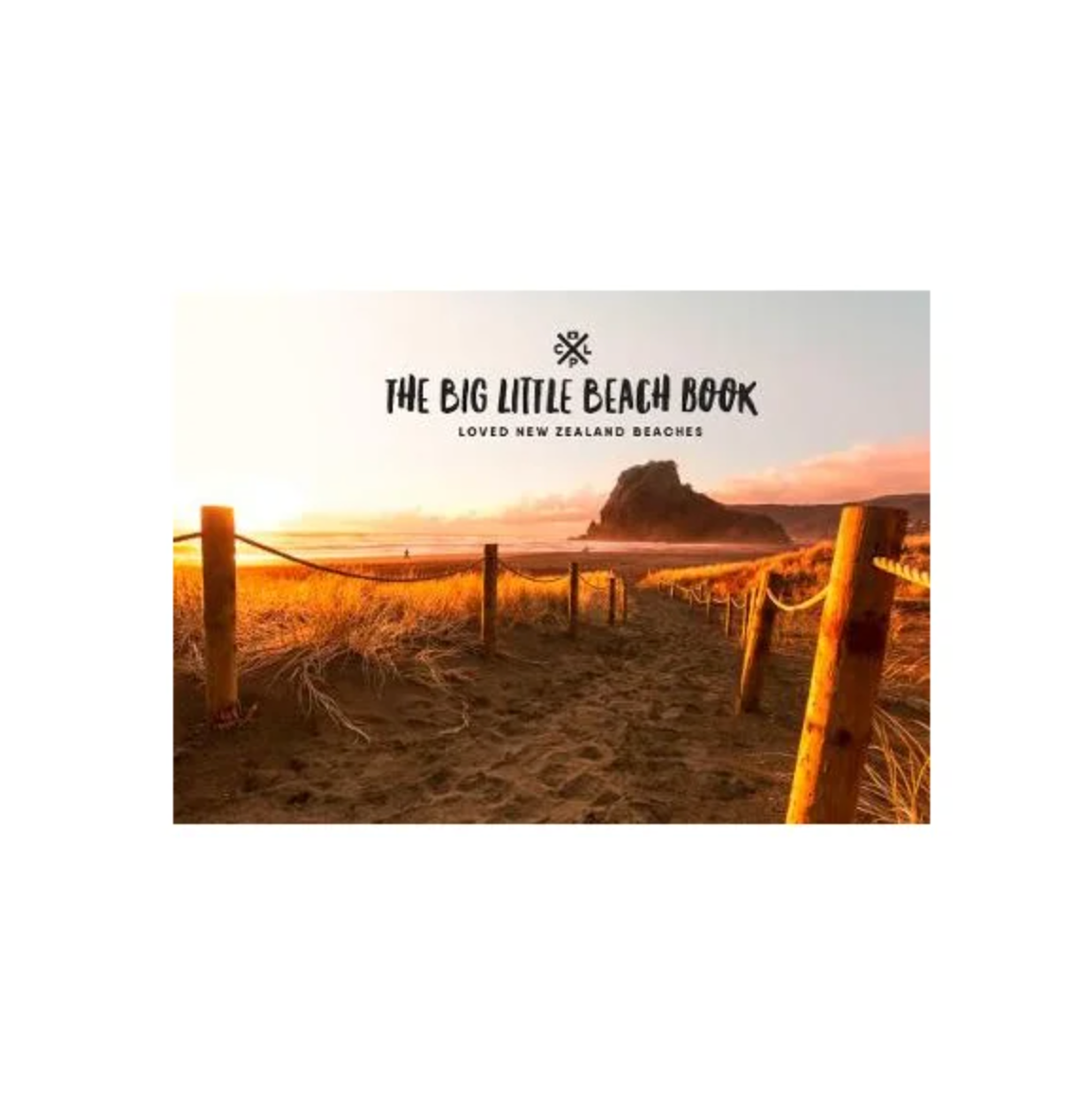 The Big Little Beach Book