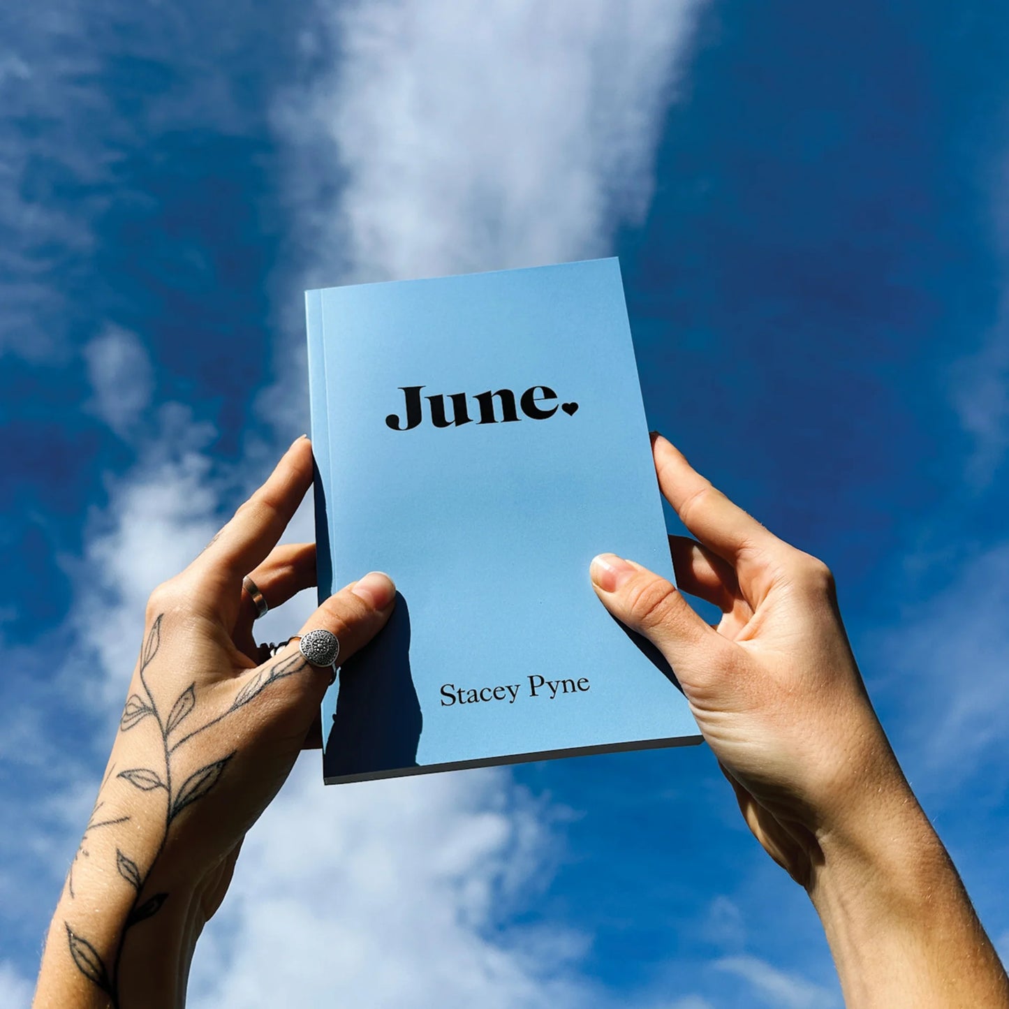 June Book By Stacey Pyne