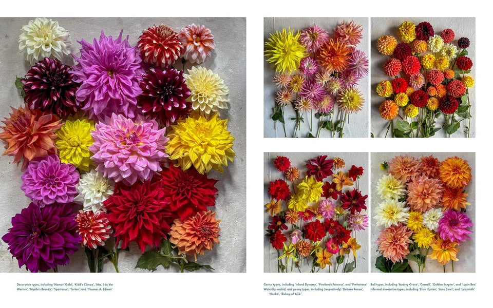 Life With Flowers Book